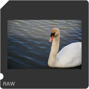 Камера Nikon Z 6 с объективом Nikkor Z 24-70mm f/4 S. Примеры RAW файлов