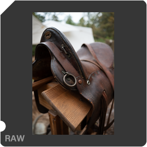 Nikon Z 8 + Nikkor Z 24-70mm f/2.8 S II. Examples of RAW files