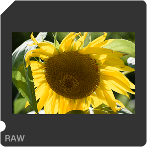 RAW sample
