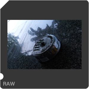 RAW sample