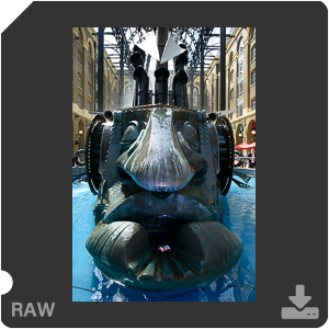 Камера Nikon 1 J5 с объективом 1 Nikkor VR 10-30mm f/3.5-5.6 PD-Zoom. Примеры RAW файлов