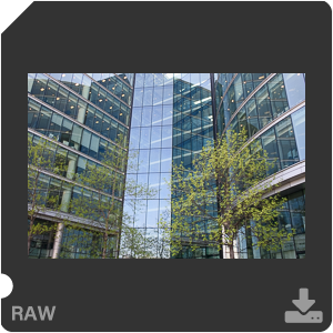 Камера Nikon 1 J5 с объективом 1 Nikkor VR 10-30mm f/3.5-5.6 PD-Zoom. Примеры RAW файлов