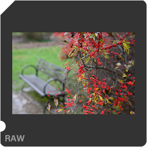 Камера Nikon Z 7II с объективом Nikkor Z 50 mm f/1.2 S. Примеры RAW файлов