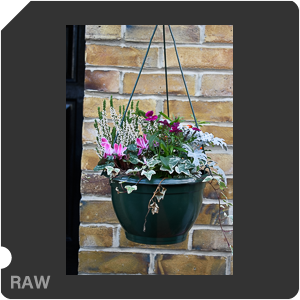 Камера Nikon D5600 с объективом AF-P DX Nikkor 18-55mm f/3.5-5.6G VR. Примеры RAW файлов