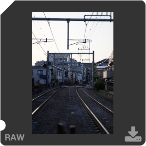 Камера Nikon Z 9 с объективом Nikkor Z 85 mm f/1.2 S. Примеры RAW файлов