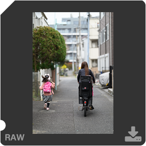 Камера Nikon Z 9 с объективом Nikkor Z 85 mm f/1.2 S. Примеры RAW файлов