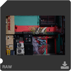 Камера Nikon Z 9 с объективом Nikkor Z 85 mm f/1.2 S. Примеры RAW файлов