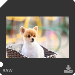 Камера Nikon Z 9 с объективом Nikkor Z 85 mm f/1.2 S. Примеры RAW файлов