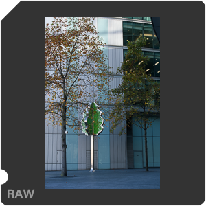 Камера Nikon D3500 с объективом AF-P DX Nikkor 18-55mm F/3.5-5.6G VR. Примеры RAW файлов