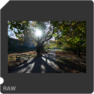 Камера Nikon D с объективом Nikkor Z 14-24mm f/2.8 S. Примеры RAW файлов