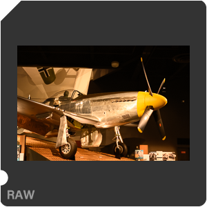 Nikon Z 9 Camera with Nikon Z 9 + Nikkor Z 50mm f/1.2 S. Examples of RAW files