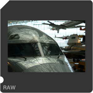 Nikon Z 9 Camera with Nikon Z 9 + Nikkor Z 50mm f/1.2 S. Examples of RAW files