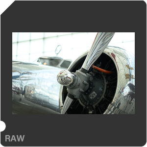 Nikon Z 9 Camera with Nikon Z 9 + Nikkor Z 50mm f/1.2 S. Examples of RAW files