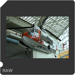 Nikon Z 9 Camera with Nikon Z 9 + Nikkor Z 50mm f/1.2 S. Examples of RAW files