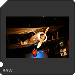 Nikon Z 9 Camera with Nikon Z 9 + Nikkor Z 50mm f/1.2 S. Examples of RAW files