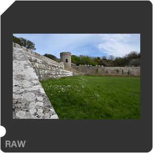 Камера Nikon D500 с объективом AF-S DX Nikkor 16-80mm f/2.8-4E ED VR. Примеры RAW файлов