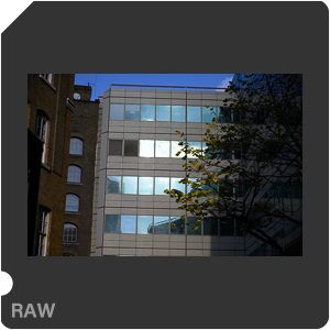 Камера Nikon Z 6 с объективом Nikkor Z 24-70mm f/4 S. Примеры RAW файлов