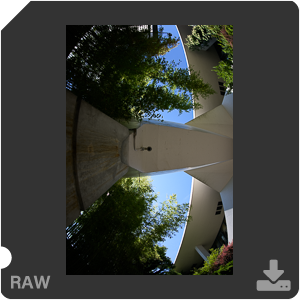 Nikon D810 с объективом AF-S Fisheye Nikkor 8-15mm f/3.5-4.5E ED. Примеры RAW файлов