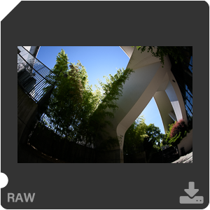 Nikon D810 с объективом AF-S Fisheye Nikkor 8-15mm f/3.5-4.5E ED. Примеры RAW файлов