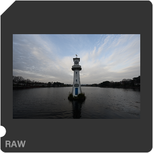 Камера Nikon D с объективом Nikkor Z 14-24mm f/2.8 S. Примеры RAW файлов