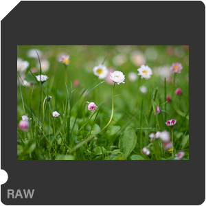 RAW sample