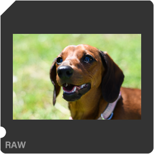 Камера Nikon D с объективом AF-S Nikkor 58 mm f/1.4G. Примеры RAW файлов