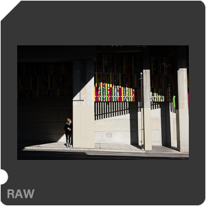 RAW sample