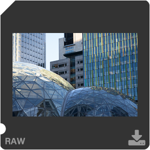 Nikon D810 Camera with AF-S Nikkor 105mm f/1.4E ED. Examples of RAW files