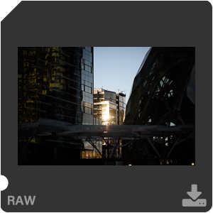 Nikon D810 Camera with AF-S Nikkor 105mm f/1.4E ED. Examples of RAW files