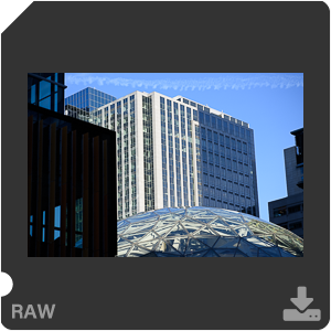 Nikon D810 Camera with AF-S Nikkor 105mm f/1.4E ED. Examples of RAW files