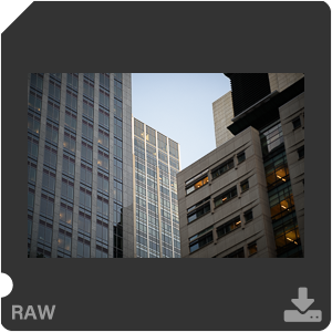 Nikon D810 Camera with AF-S Nikkor 105mm f/1.4E ED. Examples of RAW files