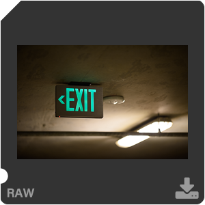 Nikon D810 Camera with AF-S Nikkor 105mm f/1.4E ED. Examples of RAW files