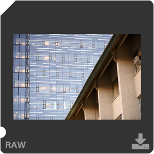 Nikon D810 Camera with AF-S Nikkor 105mm f/1.4E ED. Examples of RAW files