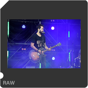 Камера Nikon D500 с объективом AF-S DX Nikkor 16-80mm f/2.8-4E ED VR. Примеры RAW файлов