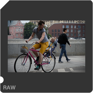 Камера Nikon D500 с объективом AF-S DX Nikkor 16-80mm f/2.8-4E ED VR. Примеры RAW файлов