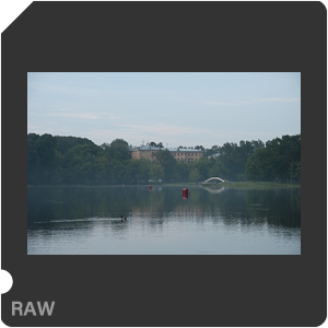 Камера Nikon D500 с объективом AF-S DX Nikkor 16-80mm f/2.8-4E ED VR. Примеры RAW файлов