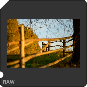 RAW sample