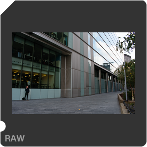 Камера Nikon D3400 с объективом AF-P DX Nikkor 18-55mm f/3.5-5.6G. Примеры RAW файлов