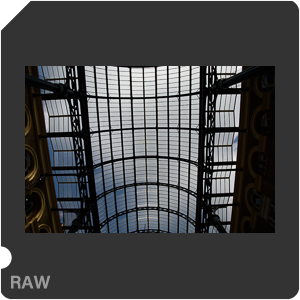 RAW sample