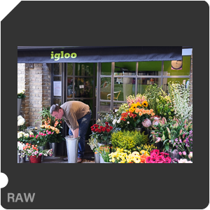 Nikon D3X Camera with AF-S Nikkor 24-70mm f/2.8G ED. Examples of RAW files