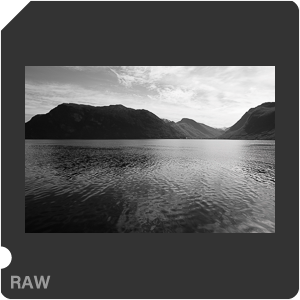 Камера Nikon D7500 с объективом AF-S DX Nikkor 16-80mm f/2.8-4E ED VR. Примеры RAW файлов