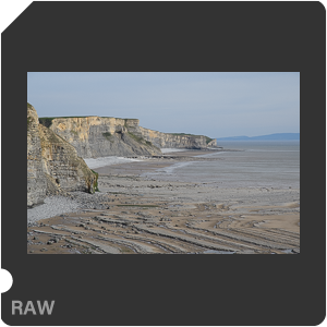 Камера Nikon D500 с объективом AF-S DX Nikkor 16-80mm f/2.8-4E ED VR. Примеры RAW файлов