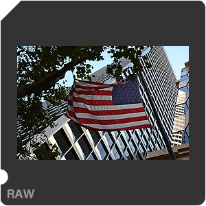 Камера Nikon Z 6III с объективом Nikkor Z 24-70mm f/2.8 S. Примеры RAW файлов