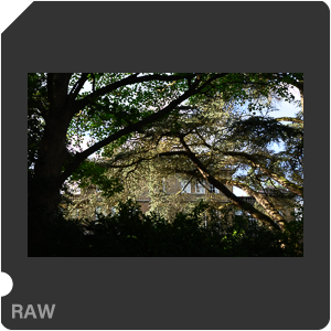 RAW sample