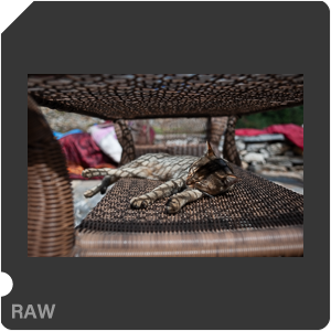 RAW sample