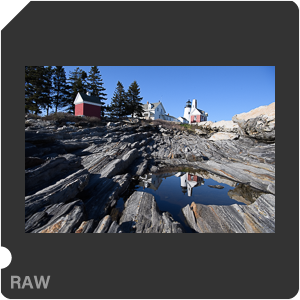 Камера Nikon D5 с объективом AF-S Nikkor 24-70mm f/2.8E ED VR. Примеры RAW файлов