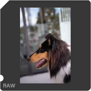 Nikon Z 8 + Nikkor Z 24-70mm f/2.8 S II. Examples of RAW files