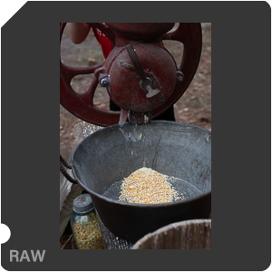 Nikon Z 8 + Nikkor Z 24-70mm f/2.8 S II. Examples of RAW files