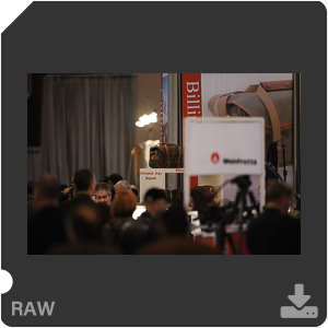 Nikon D3 Camera with AF-S Nikkor 600mm f/4G ED VR. Examples of RAW files