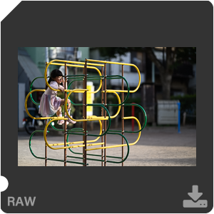 Камера Nikon Z 9 с объективом Nikkor Z 85 mm f/1.2 S. Примеры RAW файлов